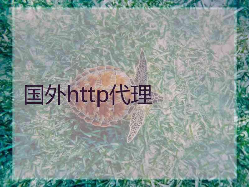 国外http代理