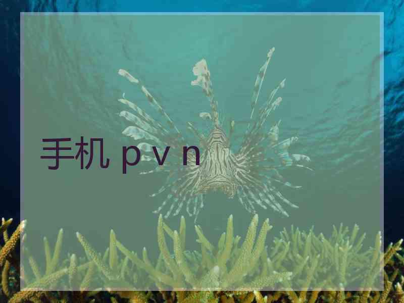 手机 p v n