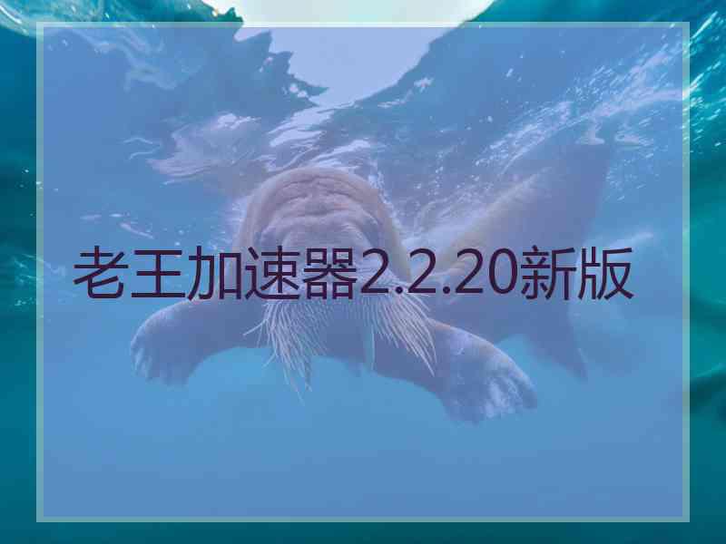 老王加速器2.2.20新版