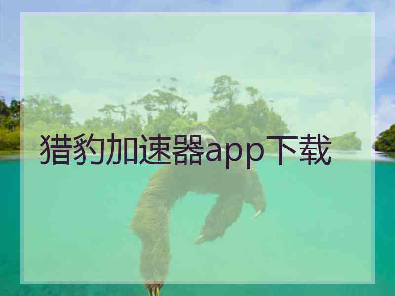 猎豹加速器app下载