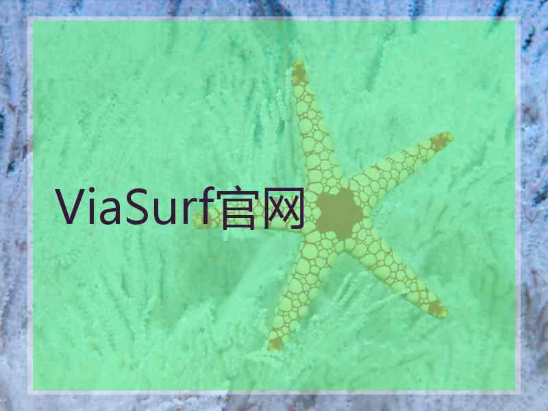 ViaSurf官网