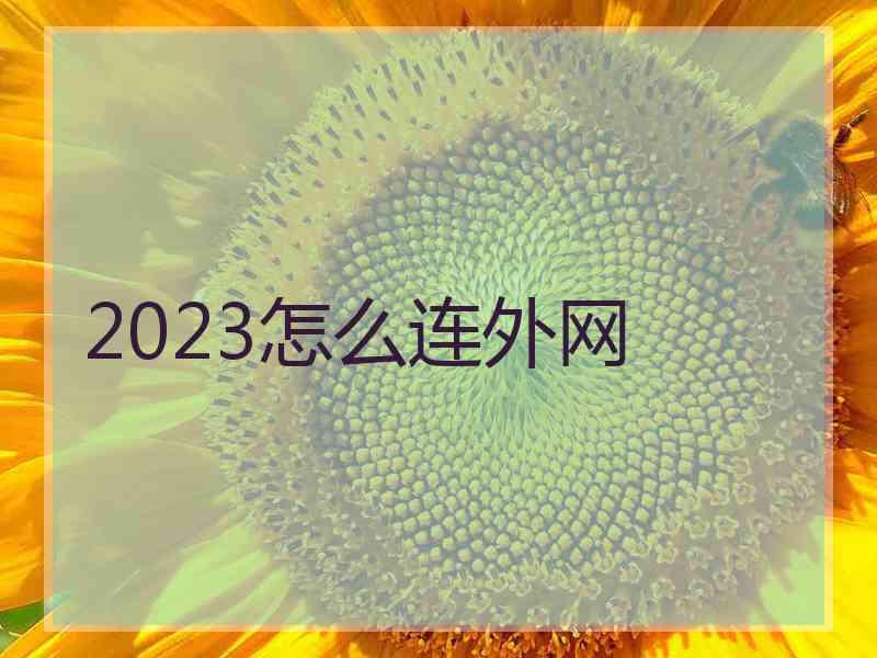 2023怎么连外网