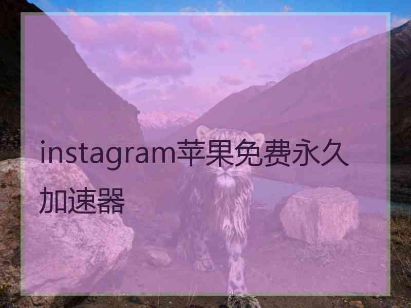 instagram苹果免费永久加速器