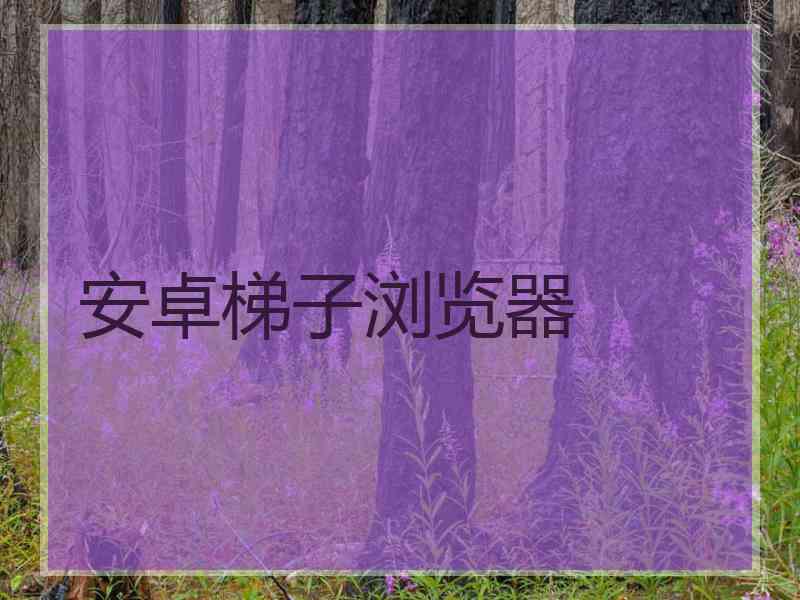 安卓梯子浏览器