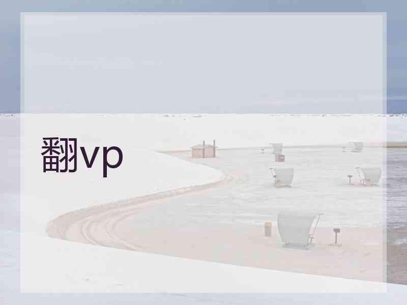 翻vp