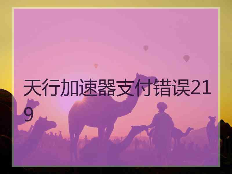 天行加速器支付错误219