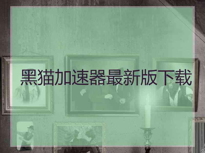 黑猫加速器最新版下载
