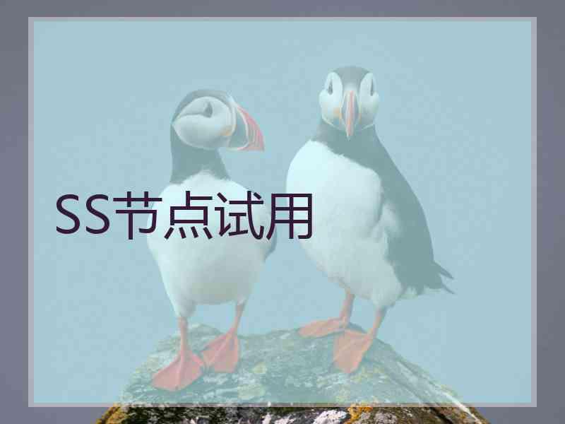 SS节点试用