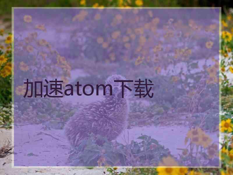 加速atom下载