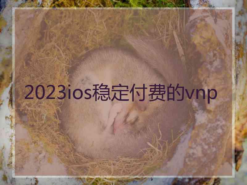 2023ios稳定付费的vnp