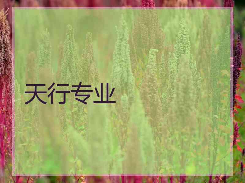 天行专业