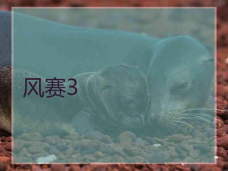 风赛3