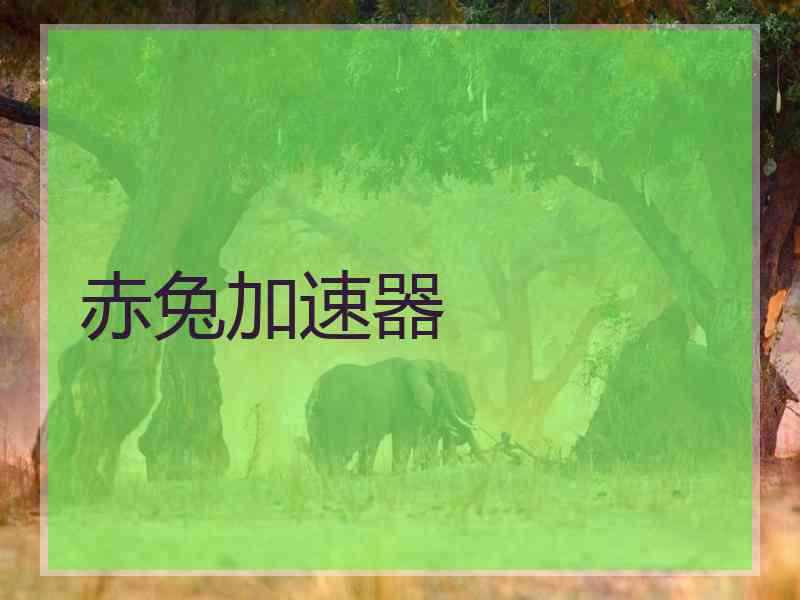 赤兔加速器