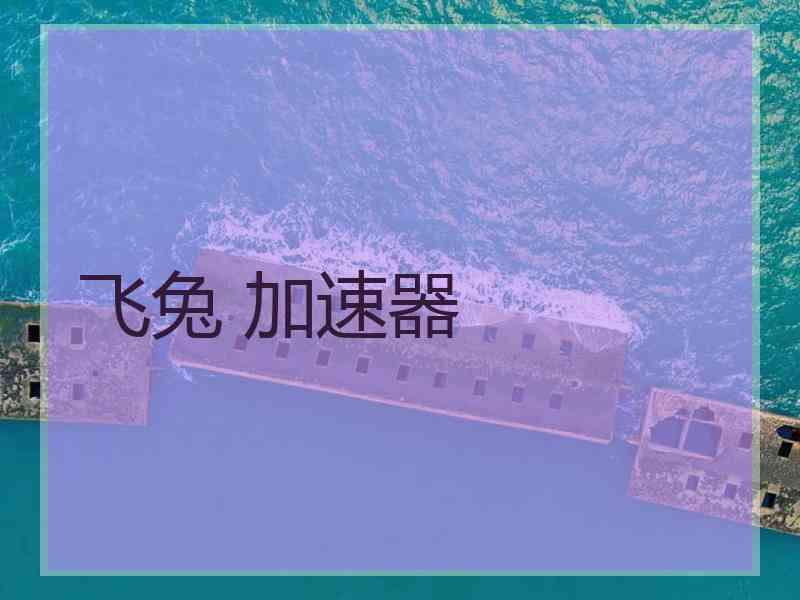 飞兔 加速器