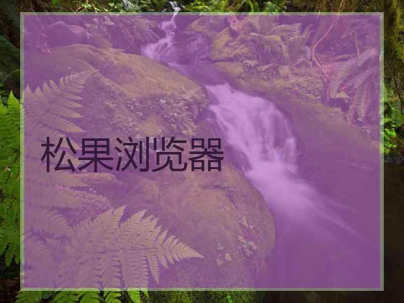 松果浏览器