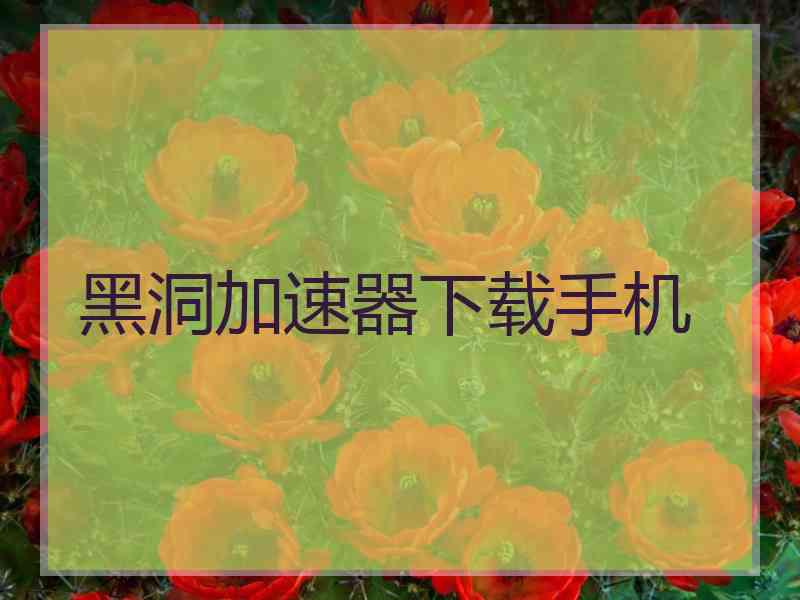 黑洞加速器下载手机