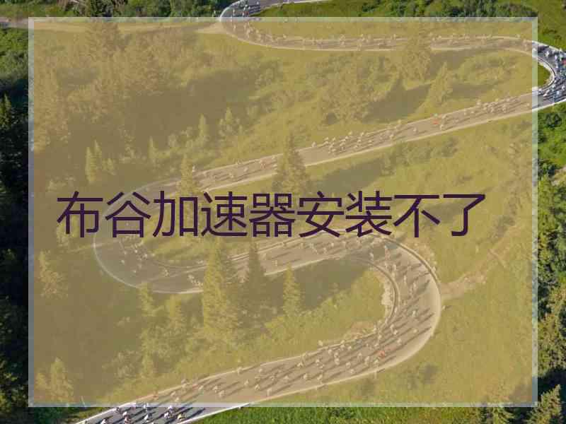 布谷加速器安装不了