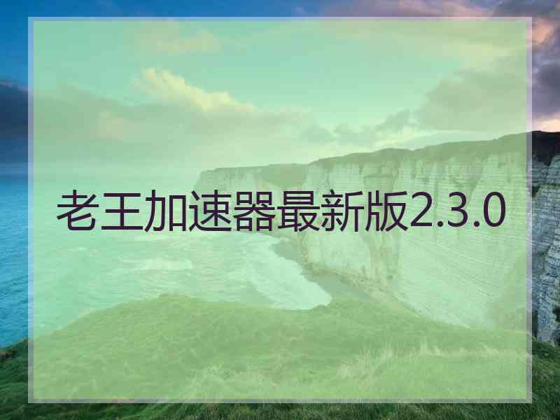 老王加速器最新版2.3.0