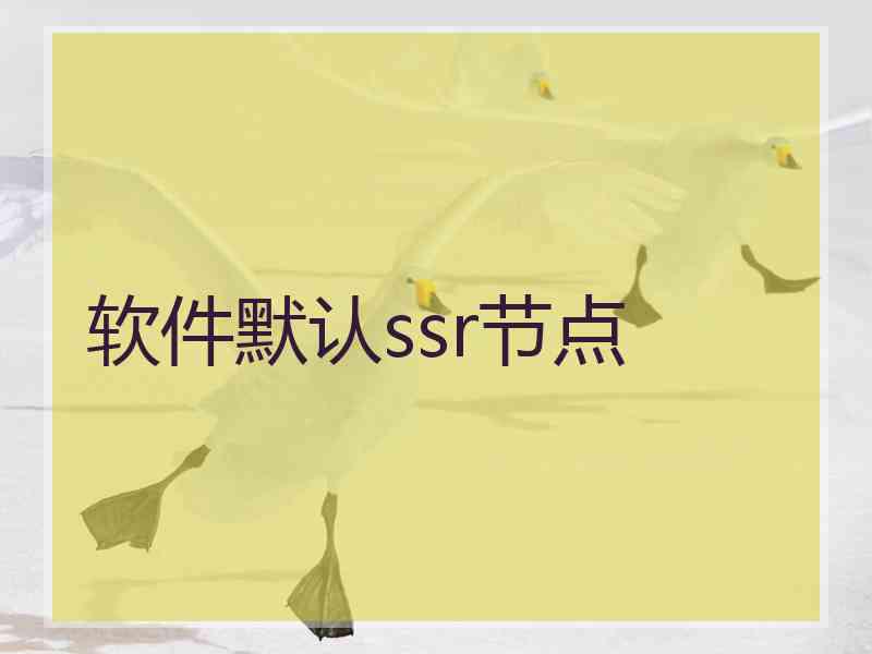 软件默认ssr节点