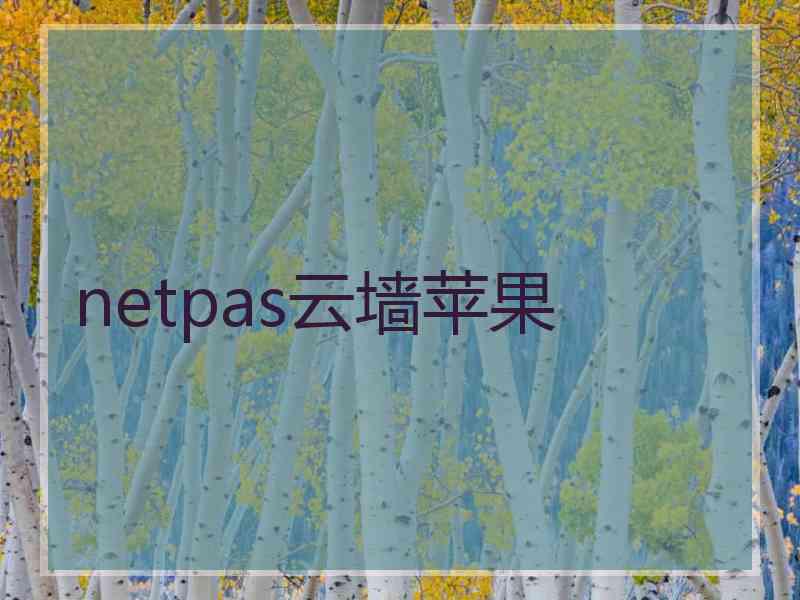 netpas云墙苹果