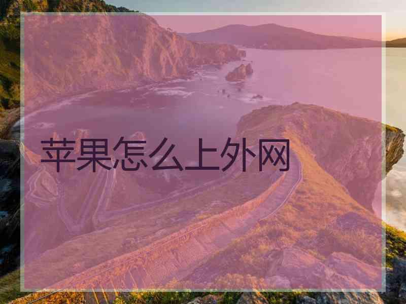 苹果怎么上外网