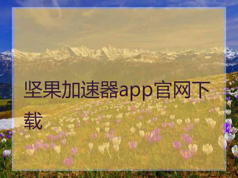 坚果加速器app官网下载