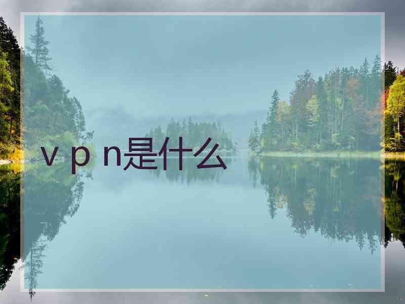 v p n是什么