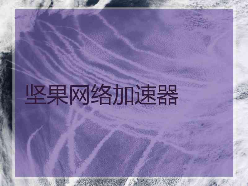 坚果网络加速器