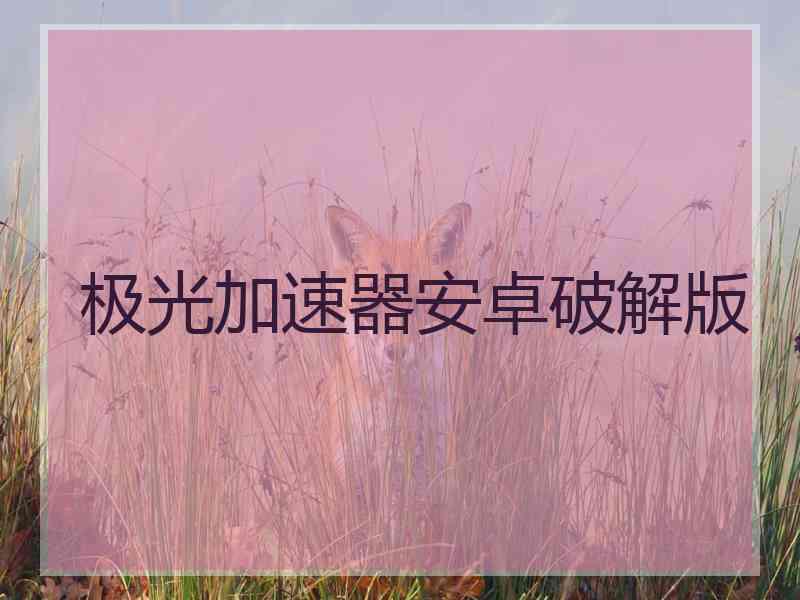 极光加速器安卓破解版