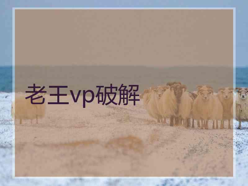 老王vp破解