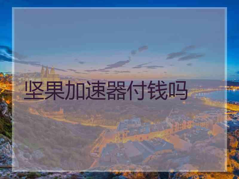 坚果加速器付钱吗