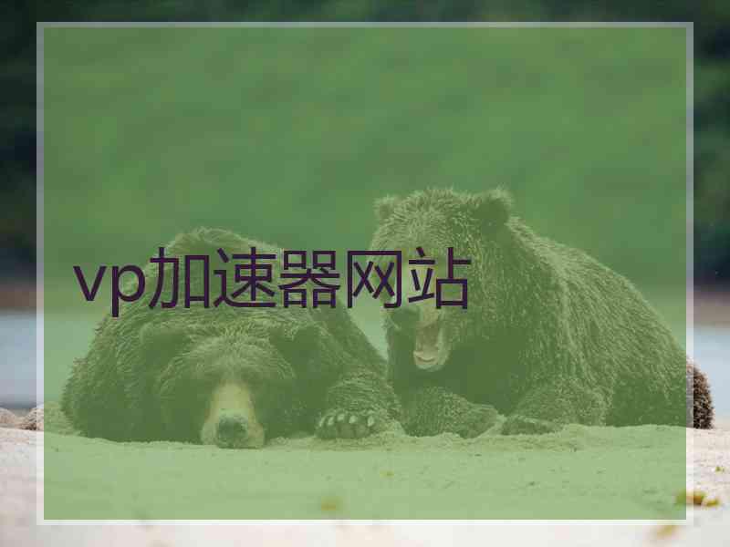 vp加速器网站