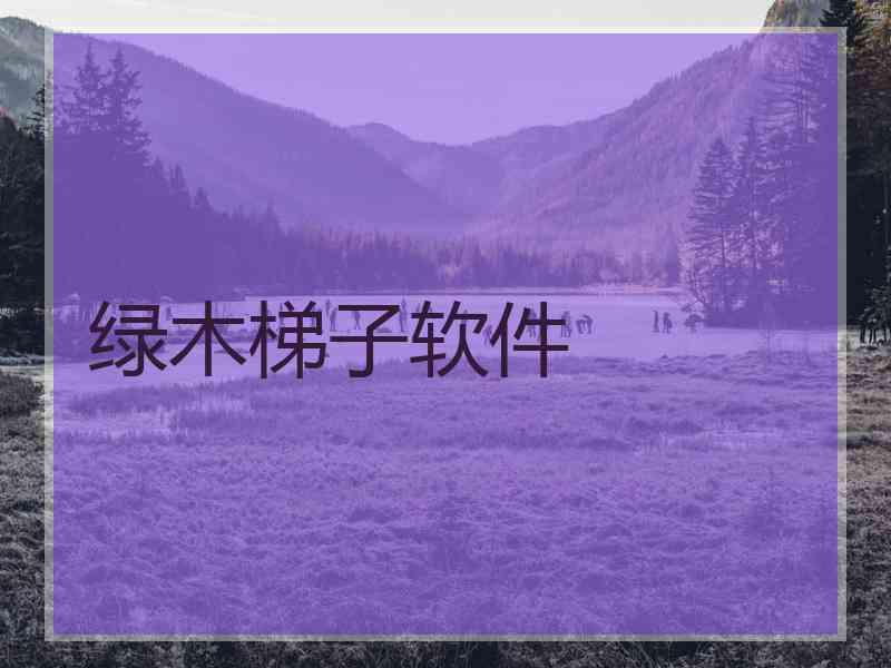 绿木梯子软件