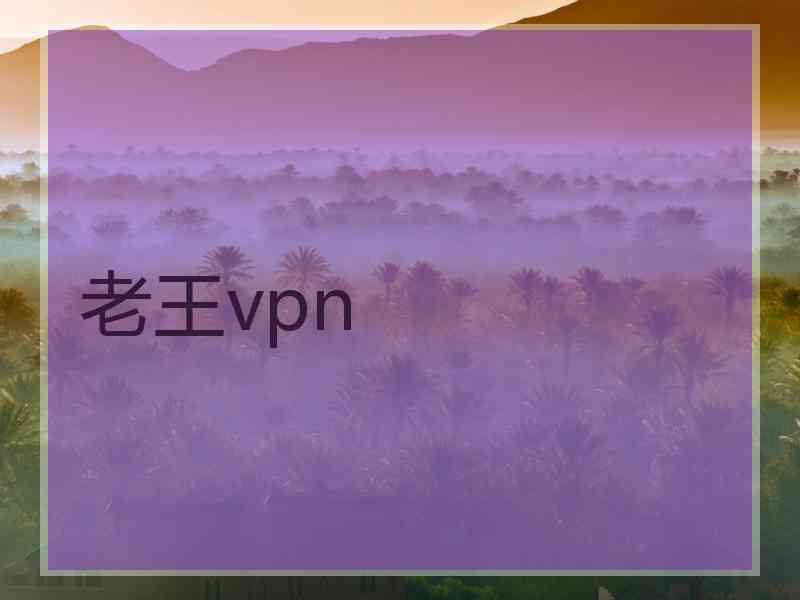 老王vpn