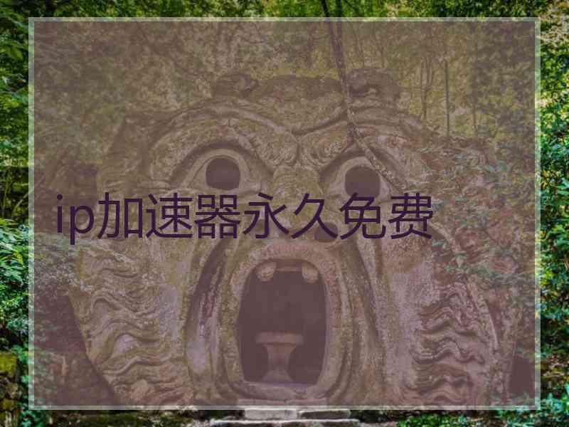 ip加速器永久免费