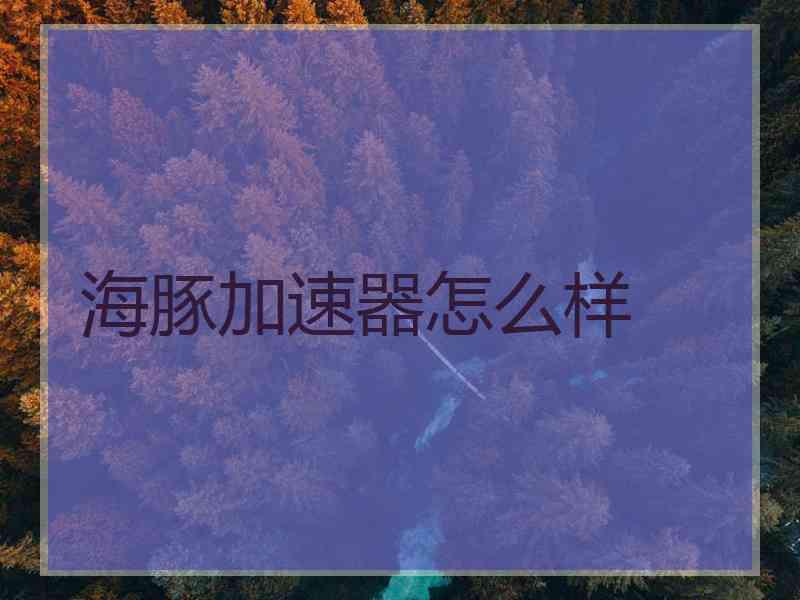 海豚加速器怎么样