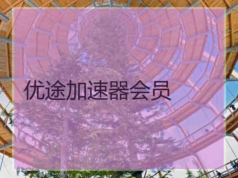 优途加速器会员