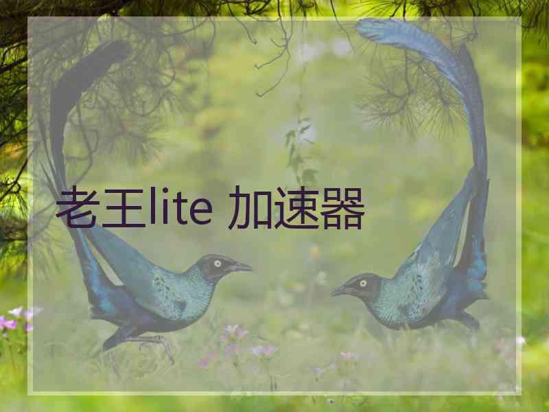 老王lite 加速器