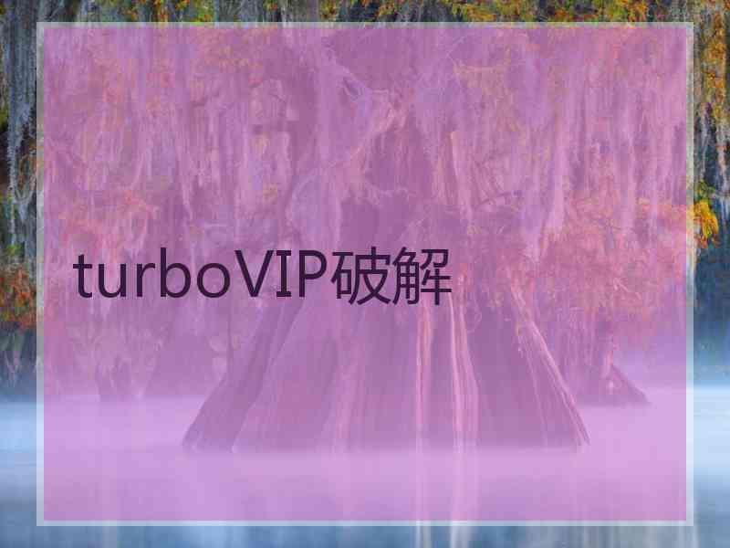 turboVIP破解
