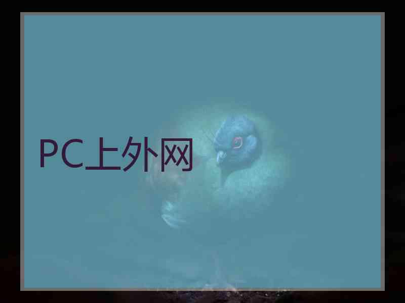 PC上外网