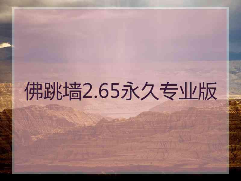 佛跳墙2.65永久专业版