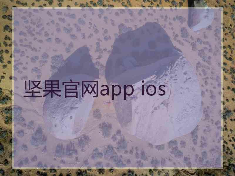 坚果官网app ios