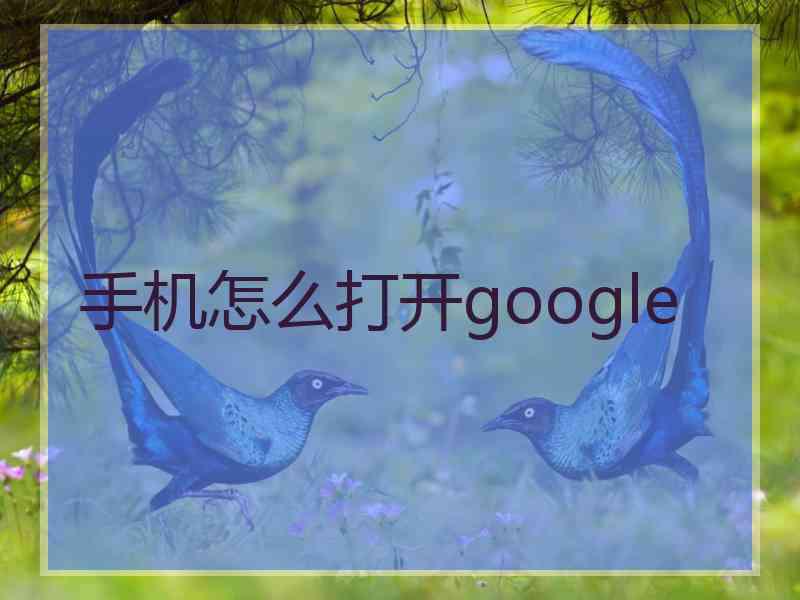 手机怎么打开google