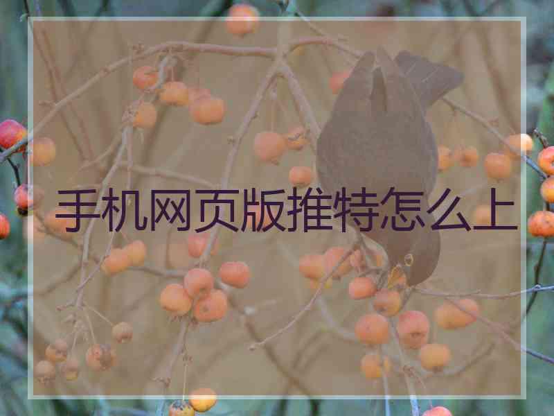 手机网页版推特怎么上
