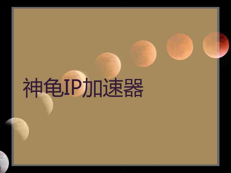 神龟IP加速器