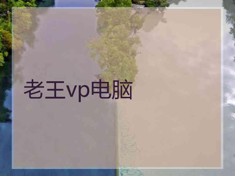 老王vp电脑