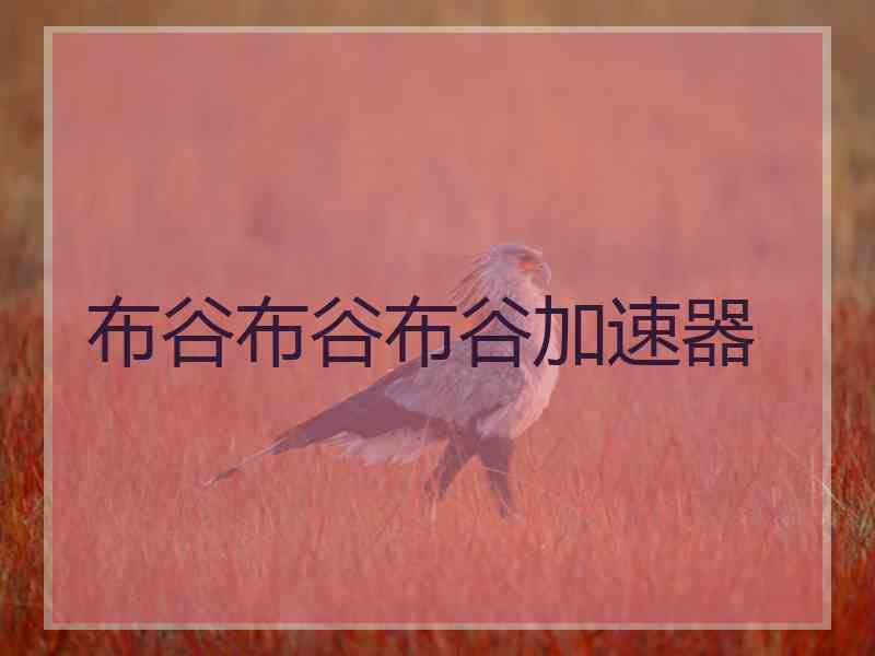 布谷布谷布谷加速器