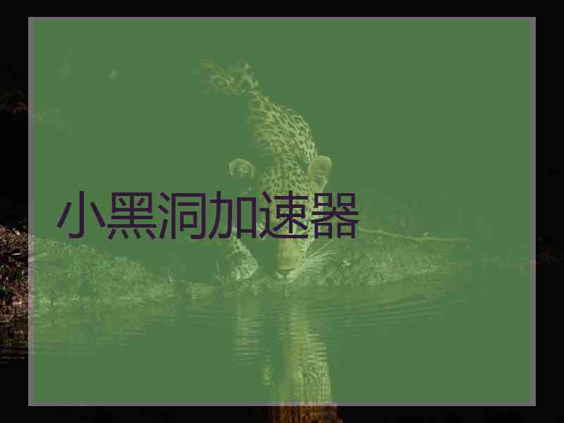 小黑洞加速器