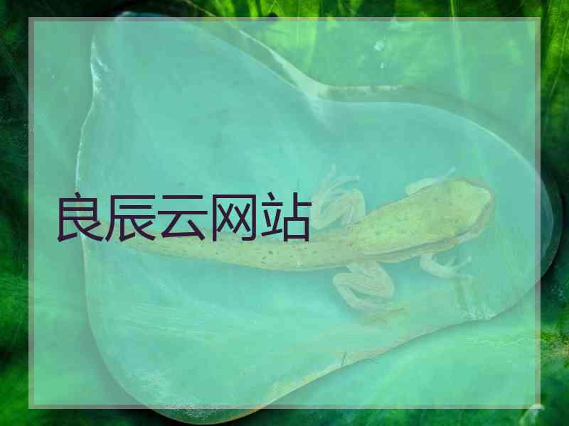良辰云网站