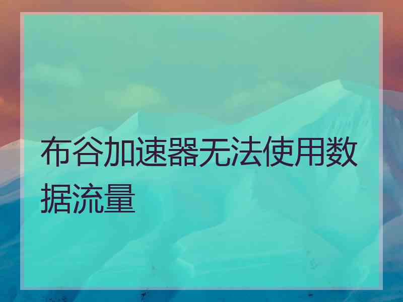 布谷加速器无法使用数据流量
